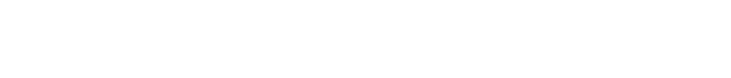MODYBOSS